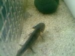 17032011226.jpg