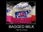 bagged_milk.jpg