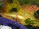 DSCN0802.jpg