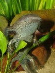 DSCF8279.jpg