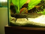 DSCF7091.jpg