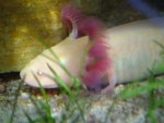 DSCF8445.jpg