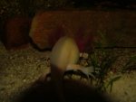 DSCF8448.jpg