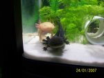 100_1574.jpg