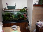 axies 043.jpg axies 043.jpg