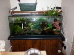 axies 048.jpg axies 048.jpg