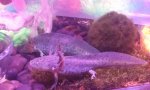 IMG_20110923_201505.jpg