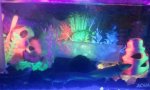 IMG_20110923_201340.jpg