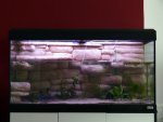 111001_aquarium_010.jpg