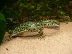 111017_NEWTS_001.jpg