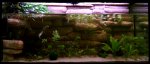 111126_aquarium_005.jpg