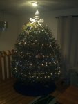 IMG_20111211_162709.jpg