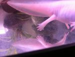 IMG_1462.jpg