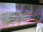2012-01-30 09.12.04.jpg