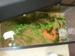 2012-01-30 09.12.43.jpg
