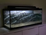 120218_aquarium_009.jpg