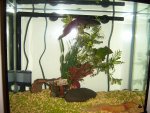100_0429.jpg