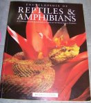 04bBooksToReview (6).jpg