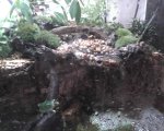 Photo12242221_1.jpg