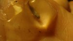 DSC03400.jpg