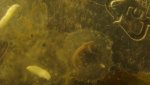 DSC03416.jpg