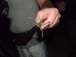 DSCF1045.jpg