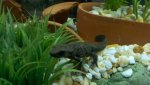 2012-04-26_14-34-21_323.jpg