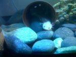 IMG00946-20120503-1644.jpg
