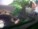IMG00958-20120504-1551.jpg