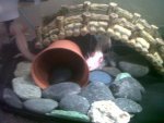 IMG00968-20120506-1134.jpg