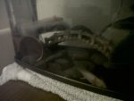 IMG00984-20120509-2157.jpg