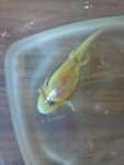2012-05-25_17-11-59_761.jpg
