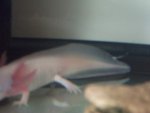 DSCF7013.jpg