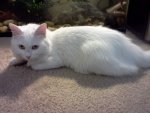 IMG_20120605_070201.jpg