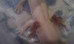 IMAG0685.jpg