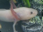 IMG-20120610-01395.jpg