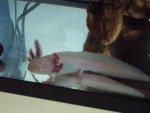 DSC00741.jpg
