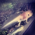 photo (6).JPG