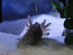 dsc02547kr.jpg