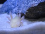 dsc02566d.jpg