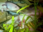 IMG-20120805-00192.jpg