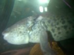 IMG-20120805-00193.jpg