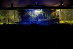 IMG_8329.jpg IMG_8329.jpg