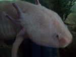 100_2298.jpg