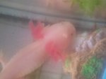 20120818_180139.jpg