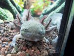 SDC15815.jpg