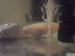 DSCF8364.jpg