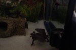 DSC02750.jpg