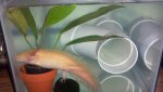 2012-07-19_08-44-16_788.jpg