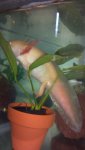 2012-07-22_15-18-58_468.jpg